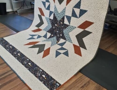 #248 – Riley’s Constellation Quilt